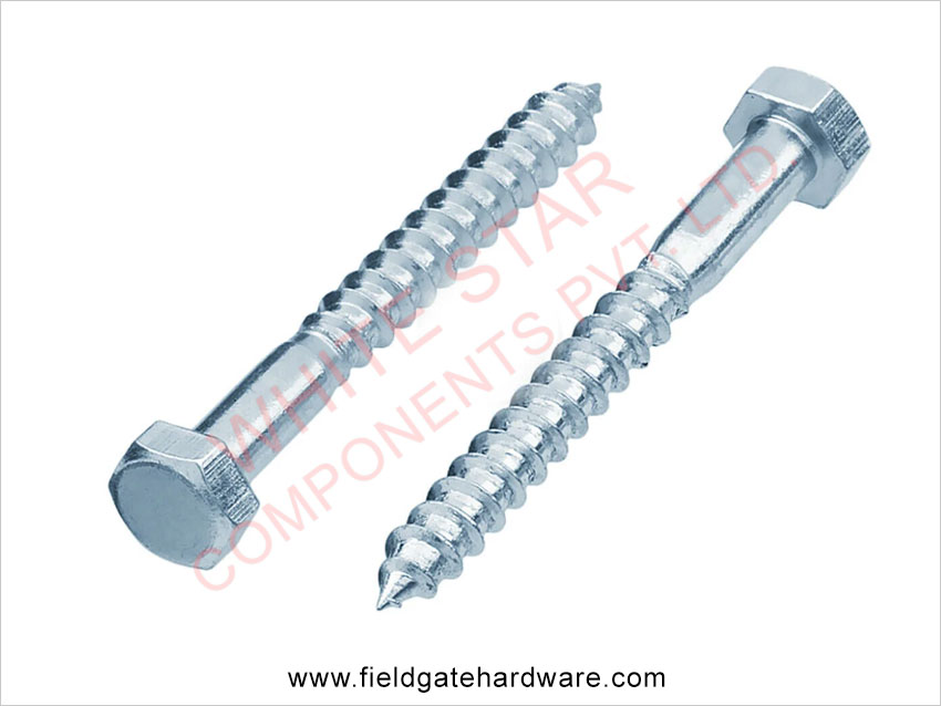 Hex Head Coach screws M6 M8 M10 M12 M16